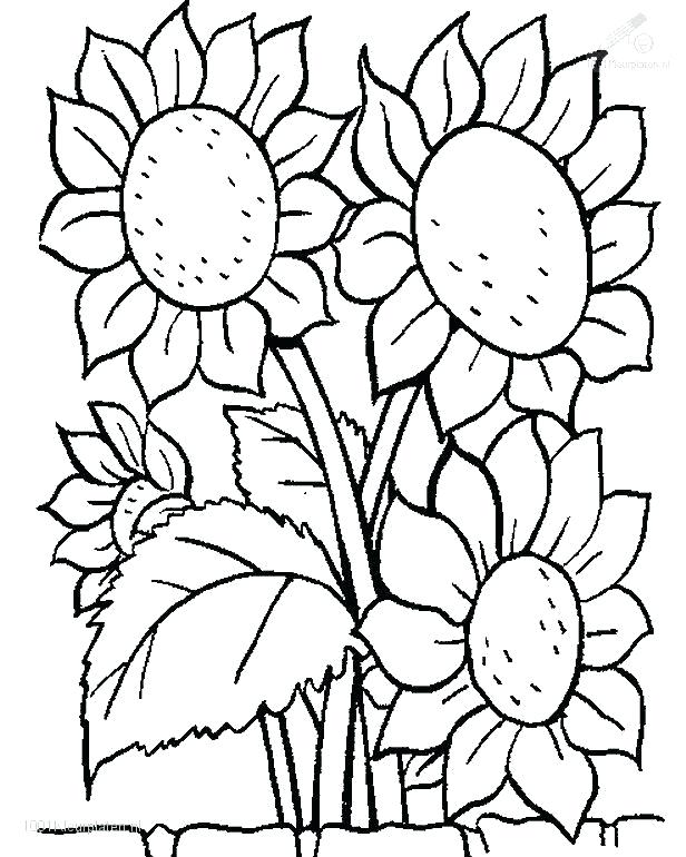 616x770 Coloring Pages With Flowers Flower Coloring Page Coloring Pages