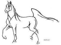 236x174 White Horse By Marauder