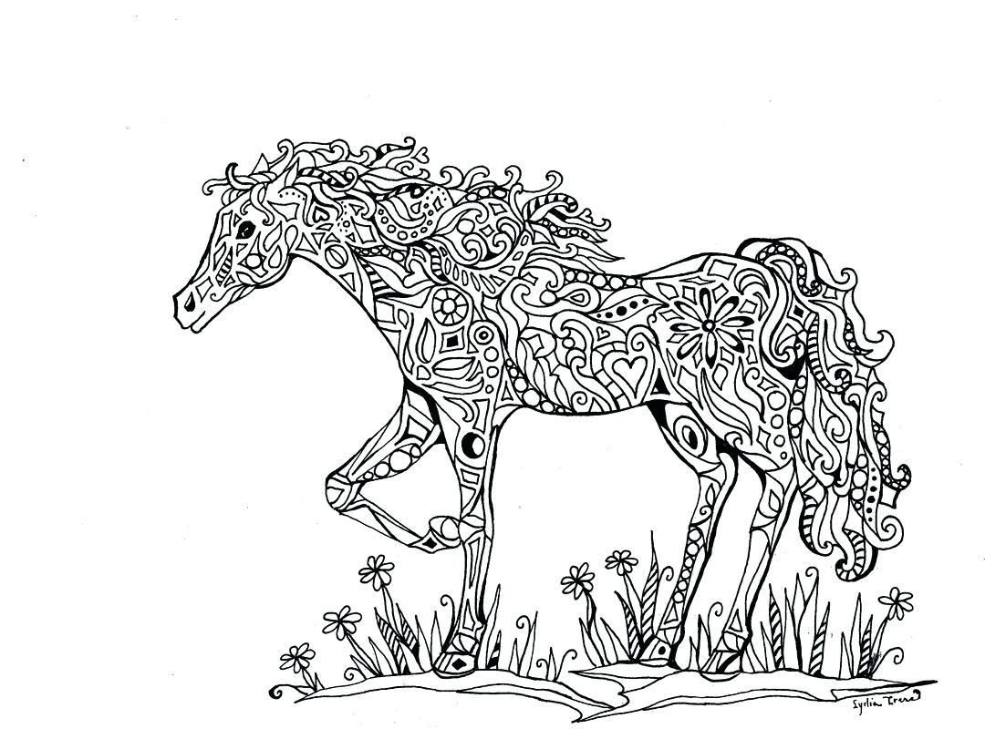1080x800 Abstract Horse Coloring Pages Coloring Sheets