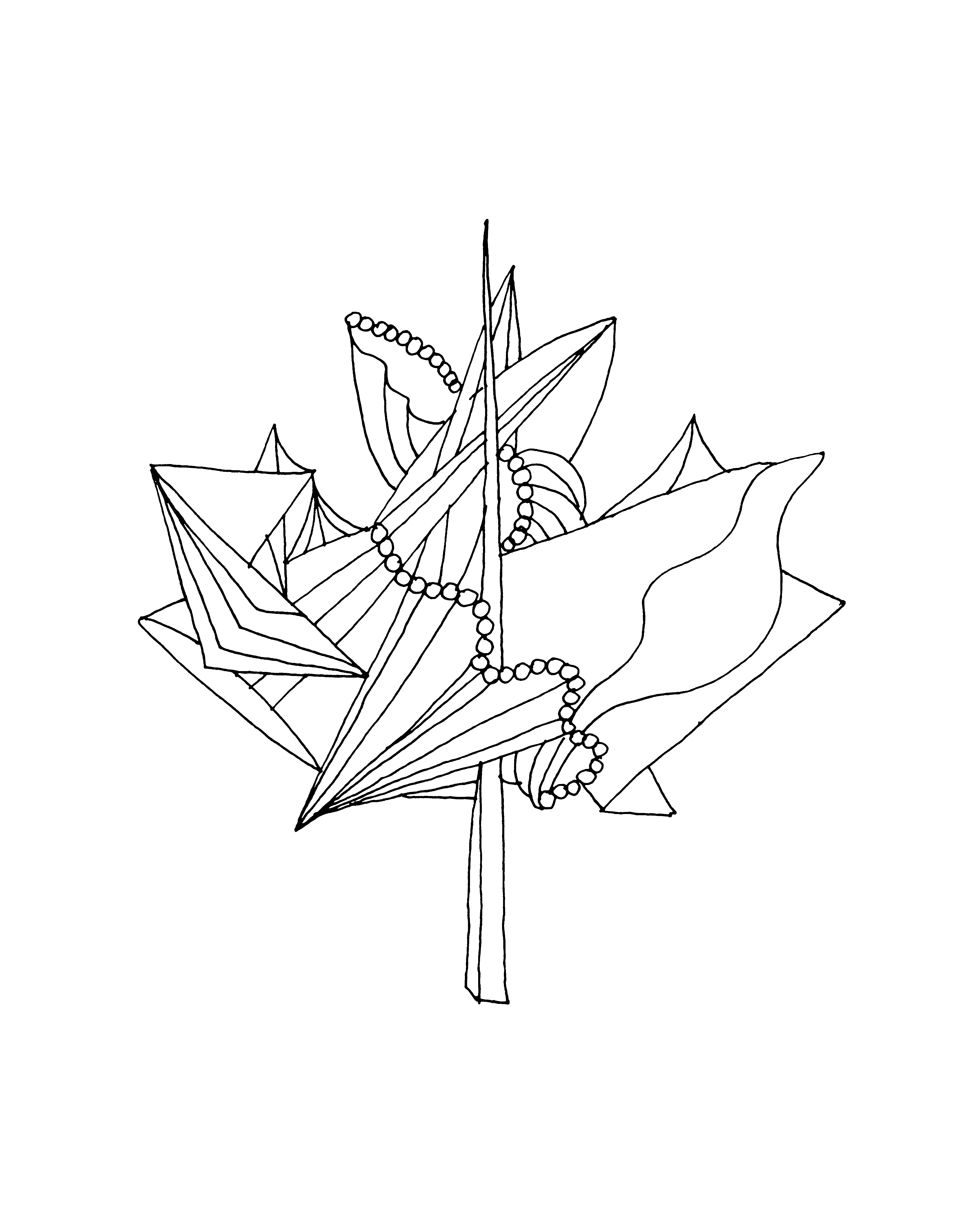 Abstract Line Drawing