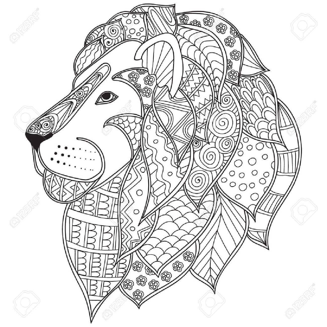 1300x1300 Hand Drawn Ornamental Outline Lion Head Illustration Decorated