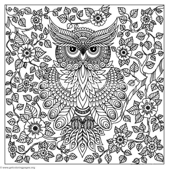 700x700 Free To Download Abstract Owl Coloring Pages Colouring