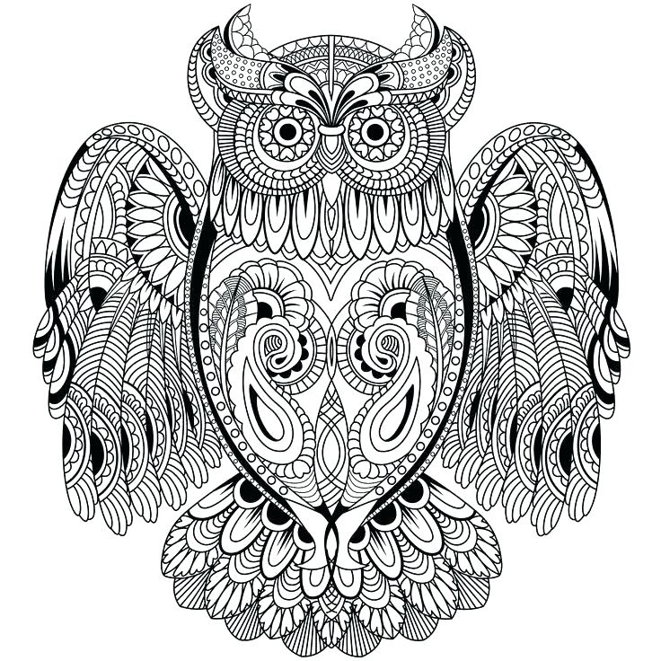736x736 Owl Coloring Pages Owl Printable Coloring Pages Together With Free