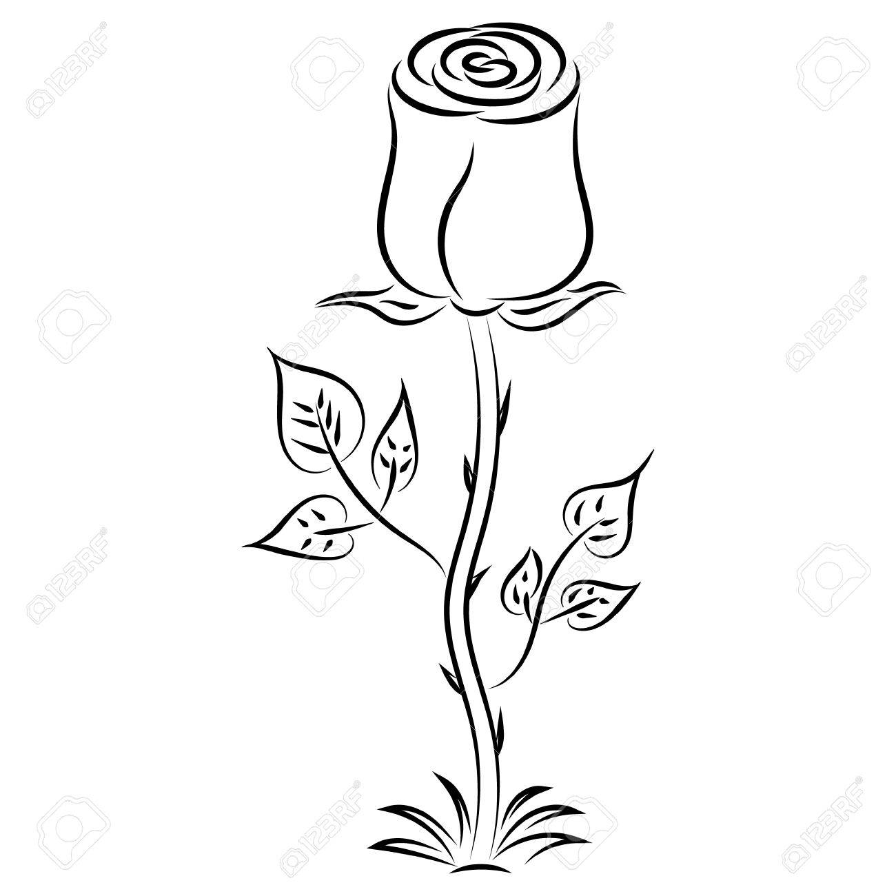 1300x1300 Doodle Hand Drawn Abstract Rose Royalty Free Cliparts, Vectors