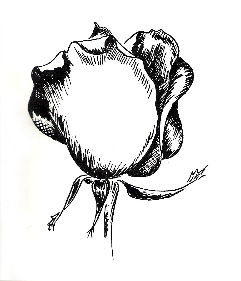 772x898 Almost Abstract Rose By Magpie Poet