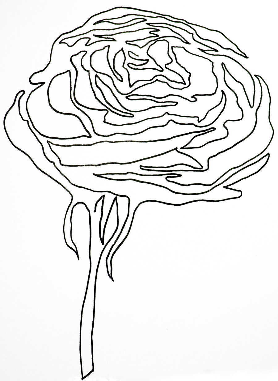 900x1232 Single Line Rose By Hummingbbird