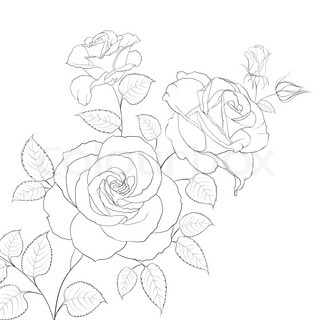 320x320 Abstract Rose Free Hand Drawing In A Graphic Style Points