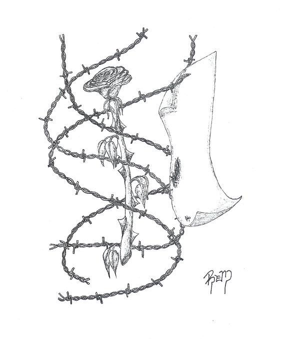 600x679 An Abstract Rose