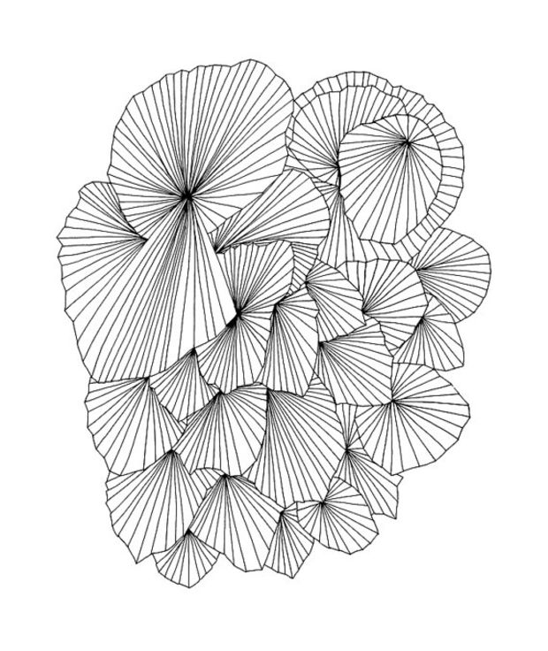 620x736 A Fan Of A Fan 8x10 Abstract Fine Art Archival Print Of Original