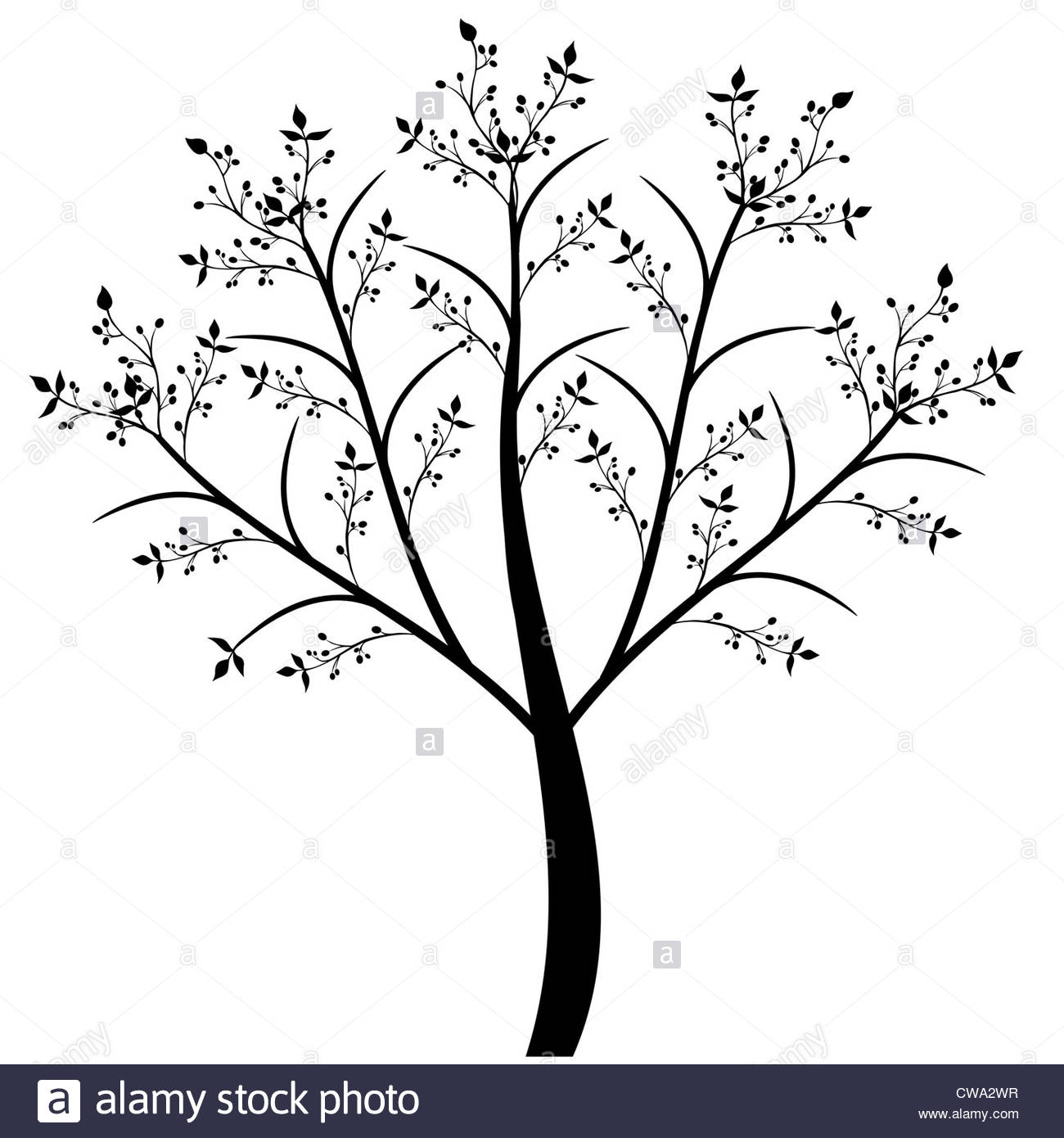 1300x1390 Abstract Olive Tree Isolated On White Background Stock Photo