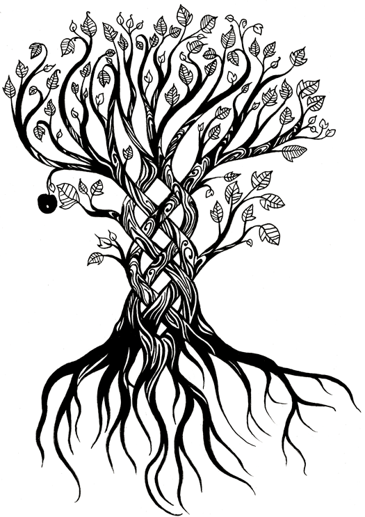 525x743 Beautiful Tree Ink It Paper Trees And Pyrography