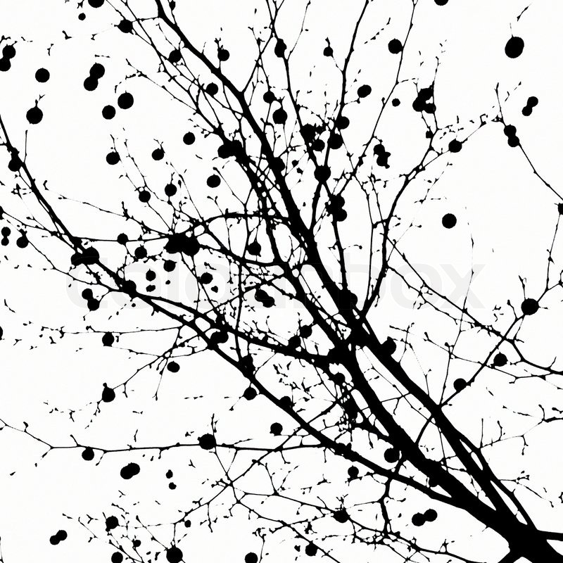 800x800 Silhouette Of Abstract Ancient Trees Stock Photo Colourbox