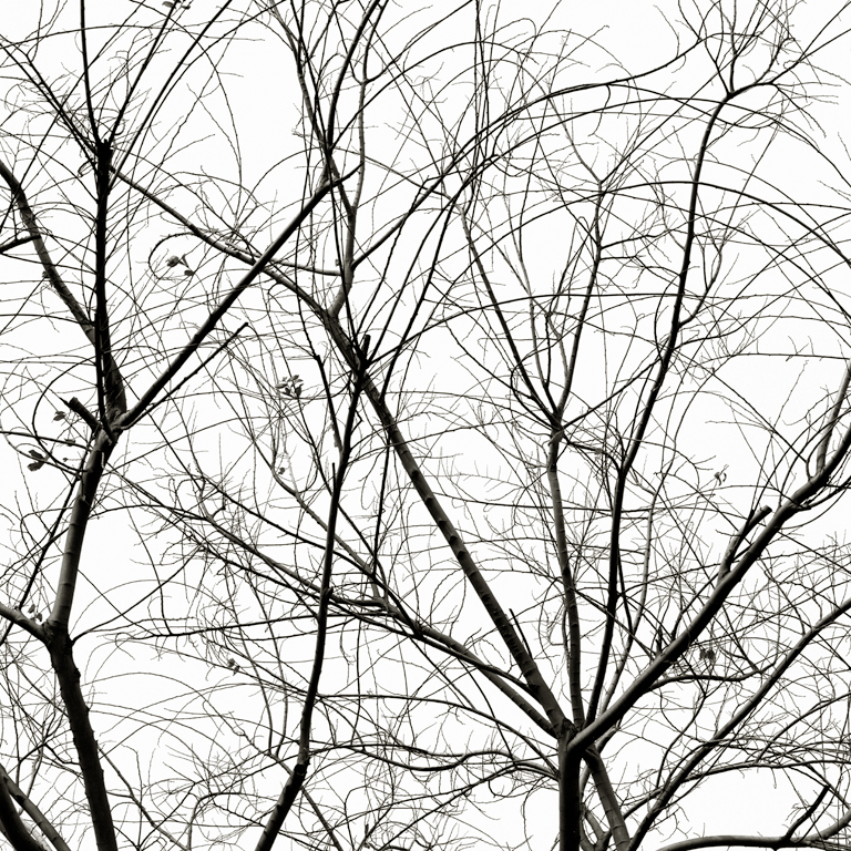 768x768 Abstract Photography By Ryan Bush, Photographs, Black And White