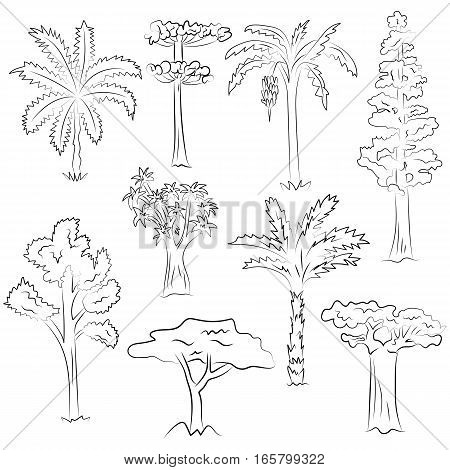 450x470 Hand Drawn Set Trees. Doodle Vector Amp Photo Bigstock