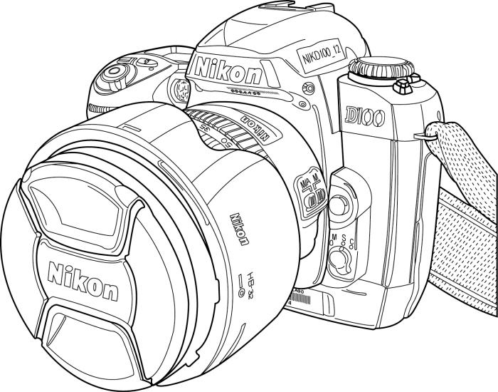 700x550 Illustrator Line Drawings By Kelsey Phelps