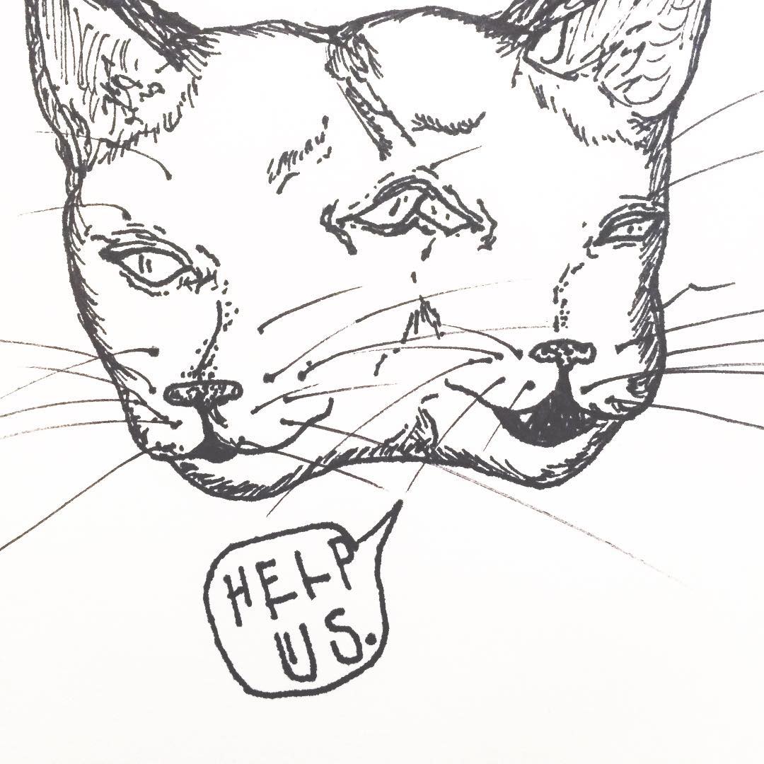 1080x1080 Images About