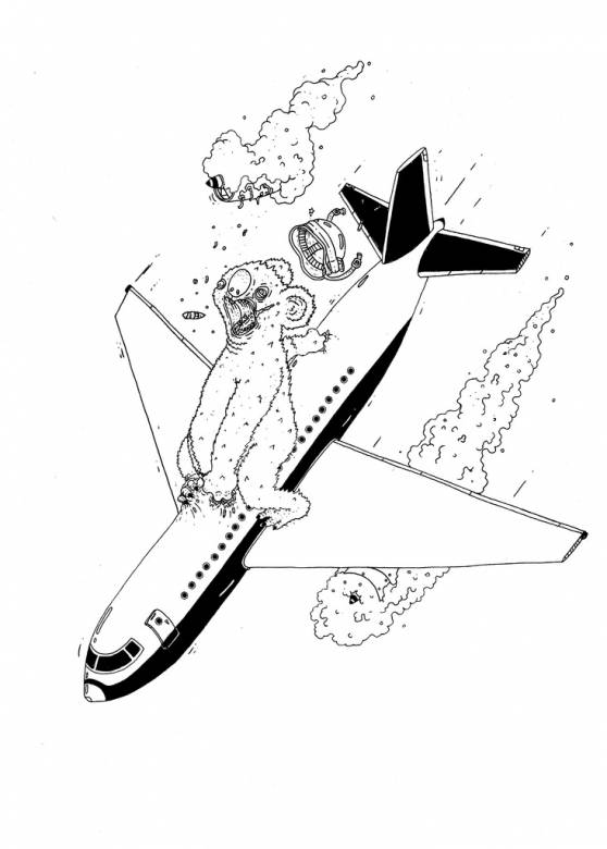 558x780 Koala Rune Alexandersen Beauton Art Gallery Drawings