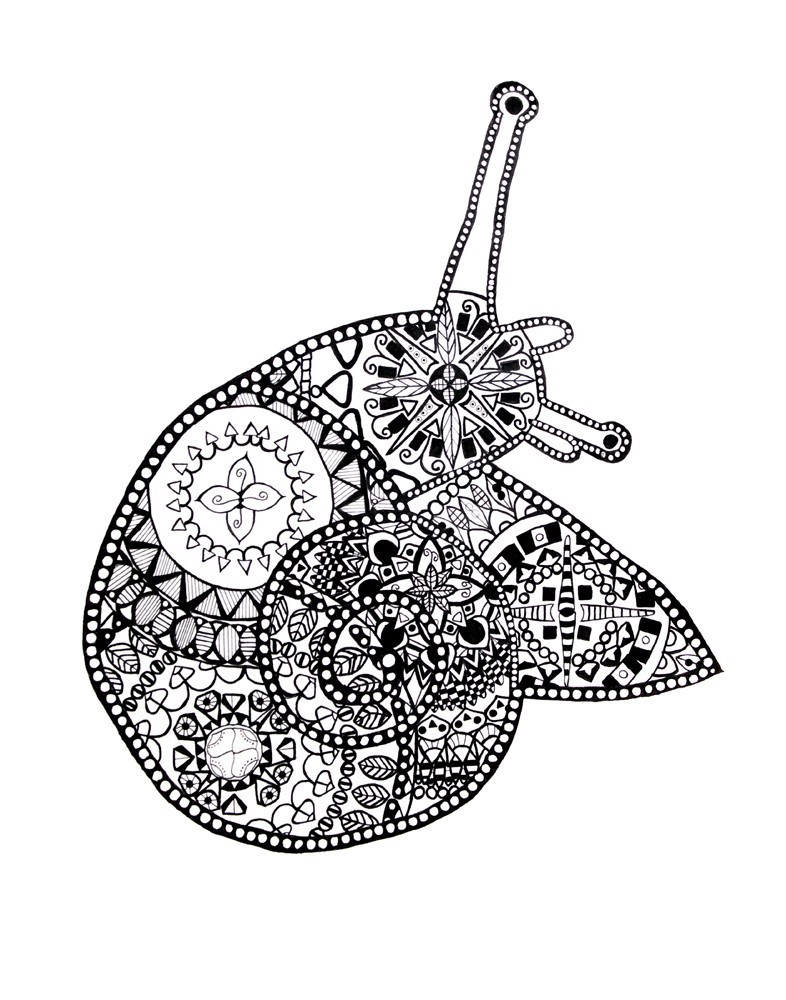 786x1000 Snail Mandala Drawing Print This Snail Mandala Drawing Is Hand