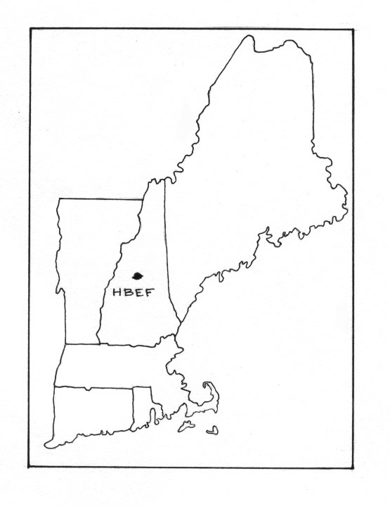 555x720 Scientists Reverse Effects Of Acid Rain The Outside Story