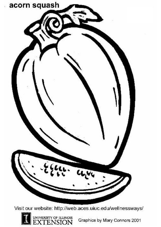 620x875 Coloring Page Acorn Squash