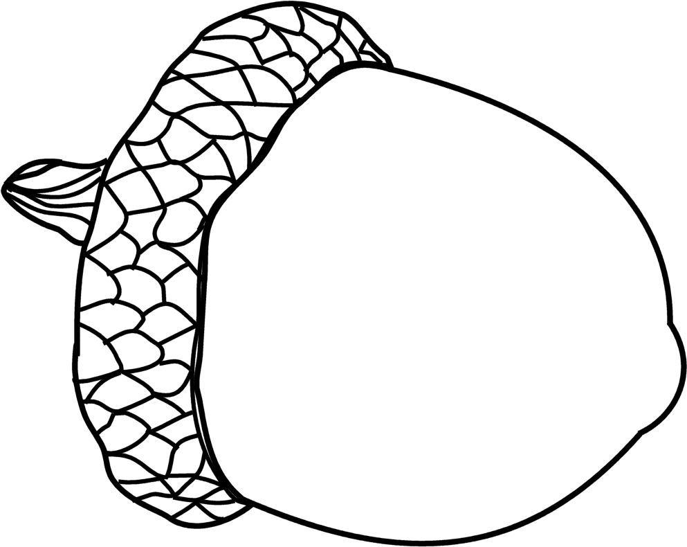 993x790 Scribbles Designs