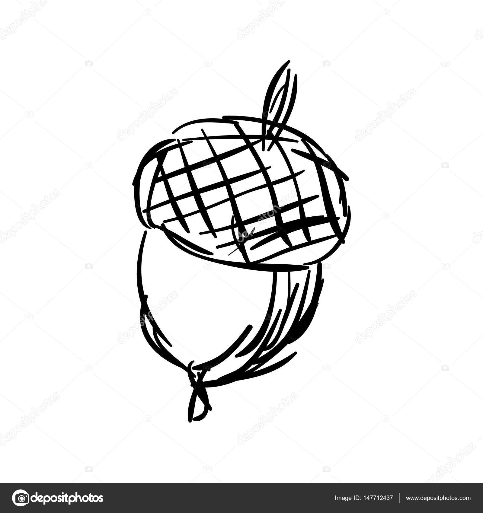 1600x1700 Sketch Of Hand Drawn Acorn Stock Vector Altelia