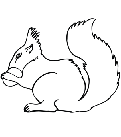 424x480 Squirrel With Acorn Coloring Page Free Printable Coloring Pages