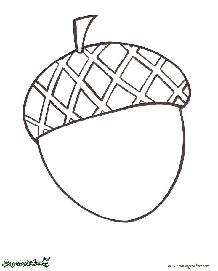 736x915 Acorn Coloring Sheet