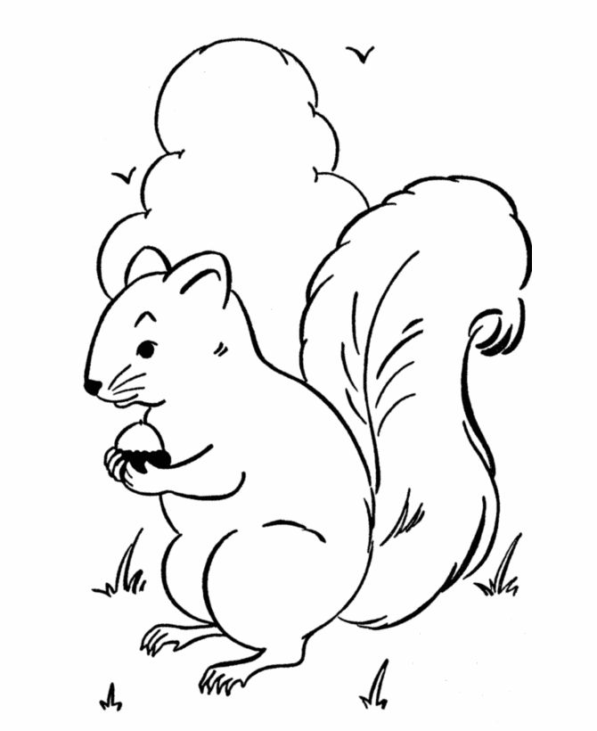 670x820 Drawn Squirrel Acorn Clipart