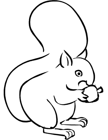371x480 Squirrel Eating Acorn Coloring Page Free Printable Coloring Pages
