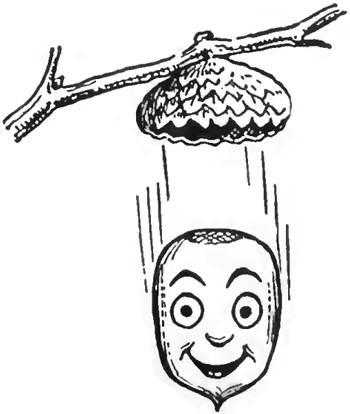 350x414 How To Draw Acorns Falling From Oak Tree Branch With Easy Drawing