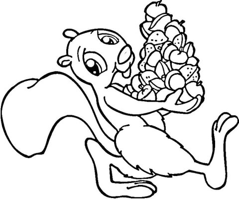 480x399 Squirrel With Acorns Coloring Page Free Printable Coloring Pages