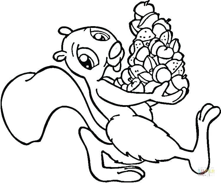 750x623 Acorn Coloring Pages Cortefocal.site