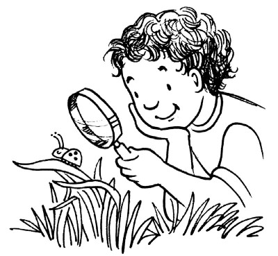 400x369 Easy Outdoor Science Activities For Kids Activities, Easy