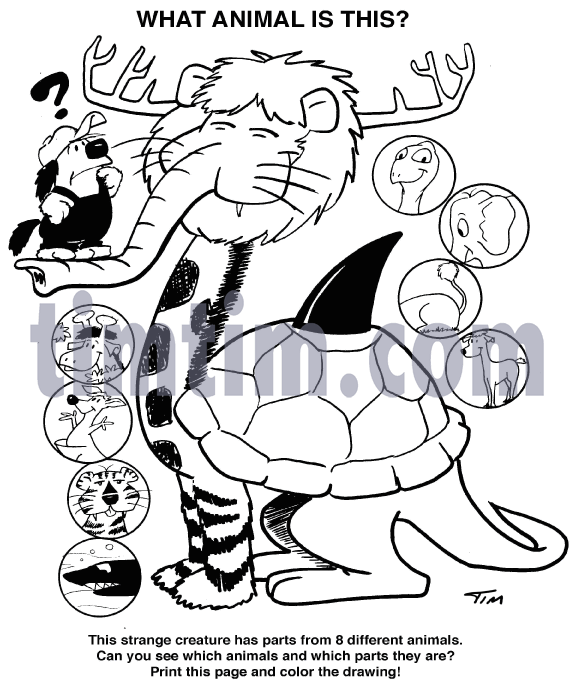 575x694 Free Drawing Of Animal Mix Bw From The Category Activities