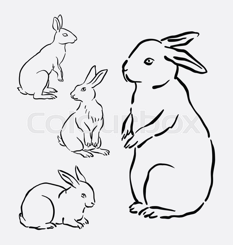 759x800 Rabbit, Bunny Activity Animal Mammal Hand Drawing. Good Use
