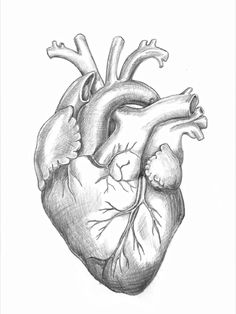 236x314 Heart Drawing Wow Ink Actual Heart Outline Tattoo