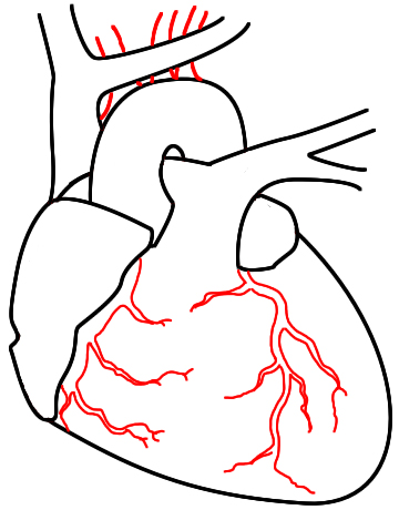 360x460 How To Draw A Heart