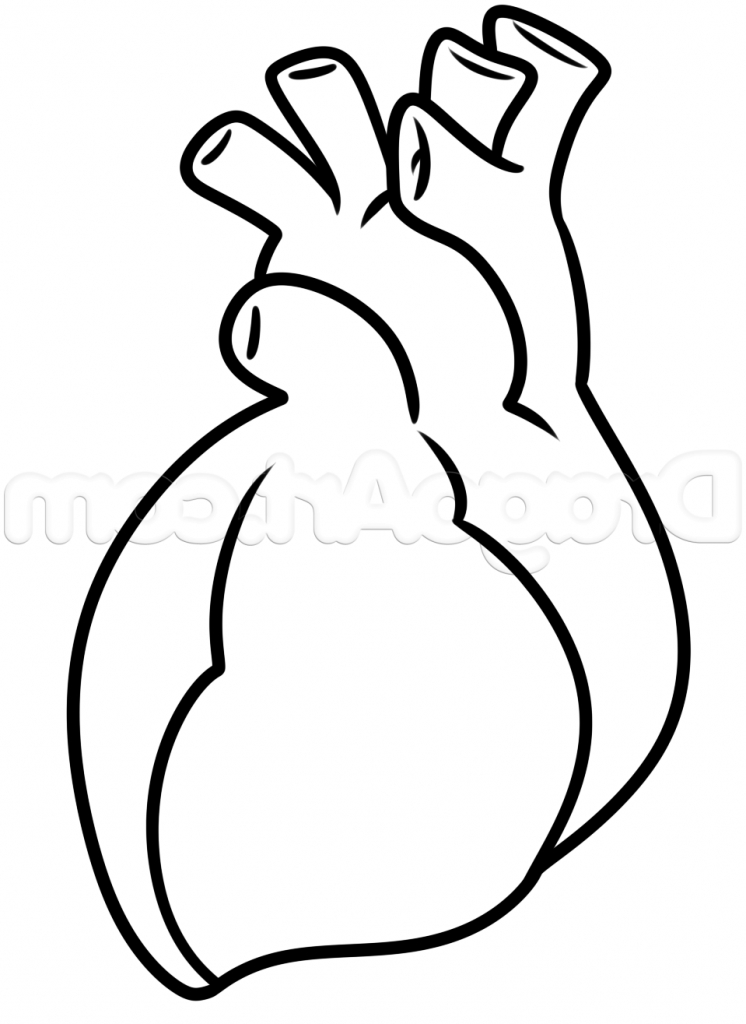 746x1024 Drawing Of A Heart Collection