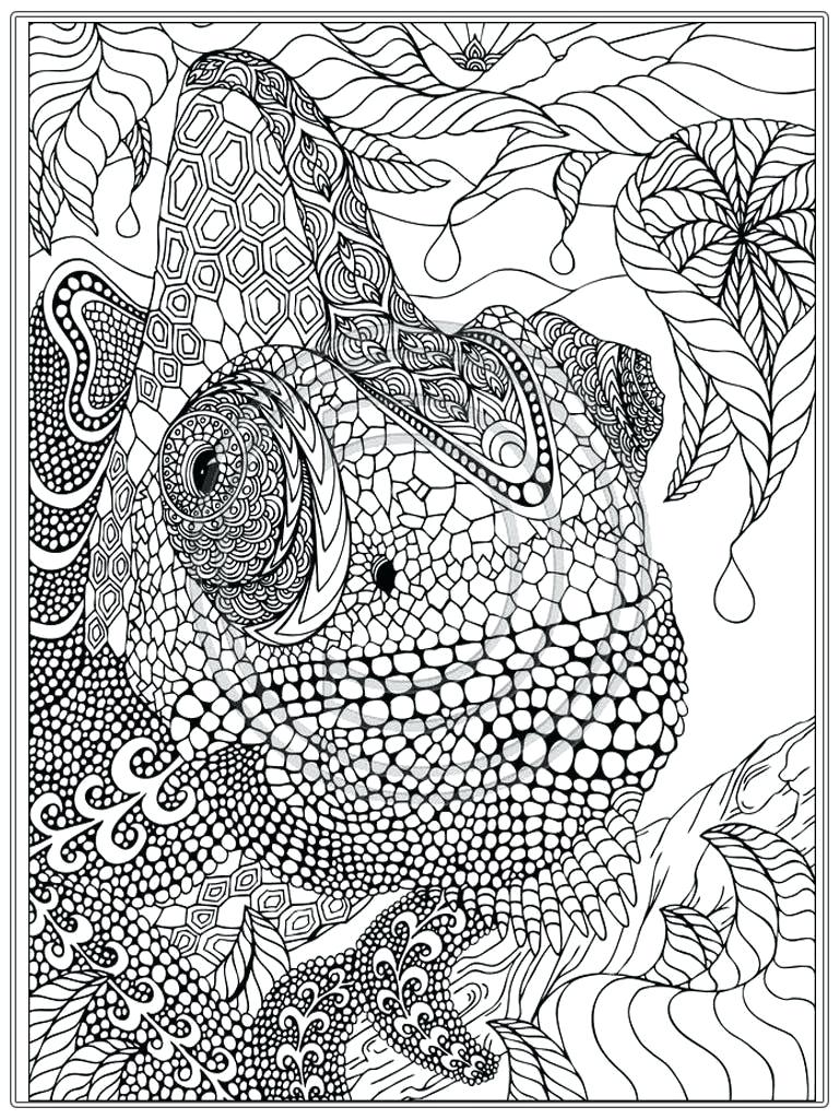 768x1024 Free Printable Advanced Coloring Pages