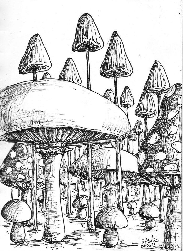 765x1045 This Is Incredible Artwork Mushrooms, Drawings