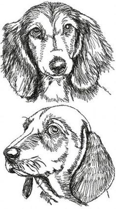 236x423 Drawing Sausage Dogs