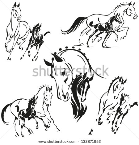 450x470 Mares And Foals For Advertisement Of Studs And Breeding Farms