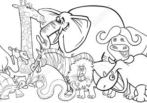 300x210 Black And White Drawings Of Animals