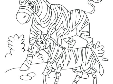 440x330 South Coloring Pages S Free Printable Map Page African Animals
