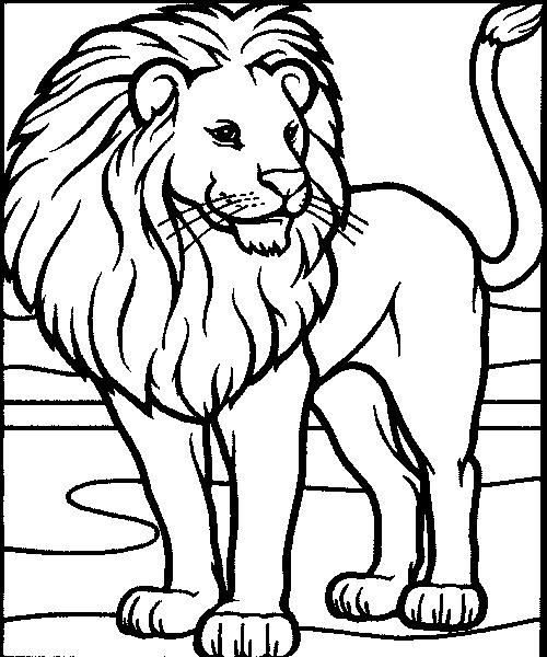 500x600 African Animal Coloring Pages Color Bros