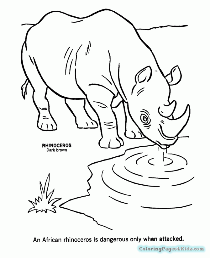 670x820 African Animals Coloring Pages Coloring Pages For Kids