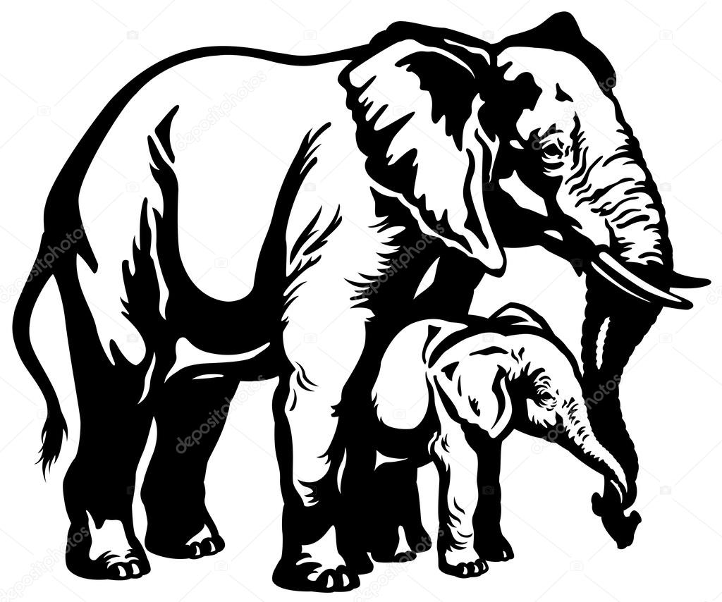 1024x854 African Elephant Mother With Baby Black White Stock Vector