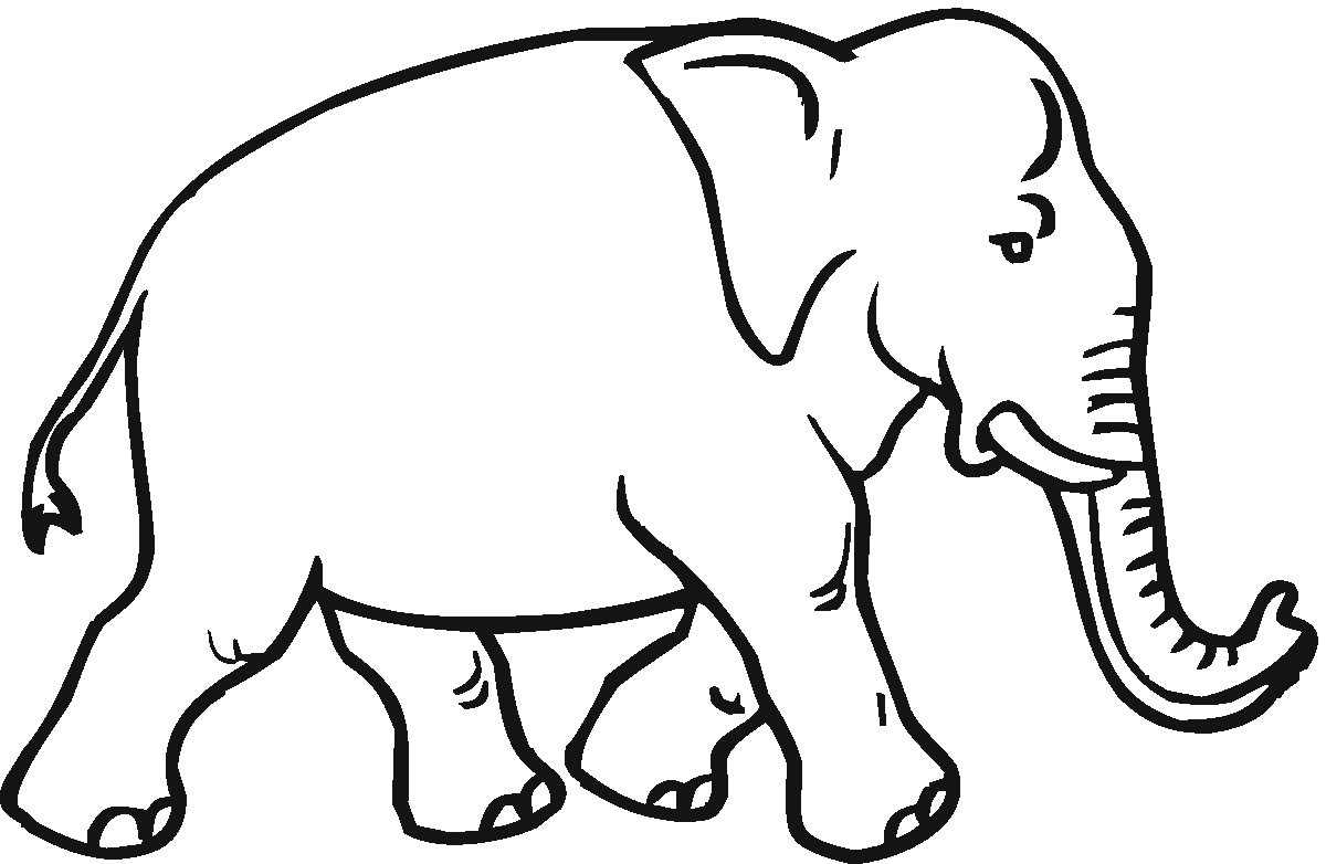 1200x782 Asian Elephant Clipart Coloring Page