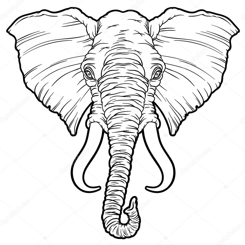 1024x1024 Cartoon African Elephant Head Stock Vector Annasuchkova
